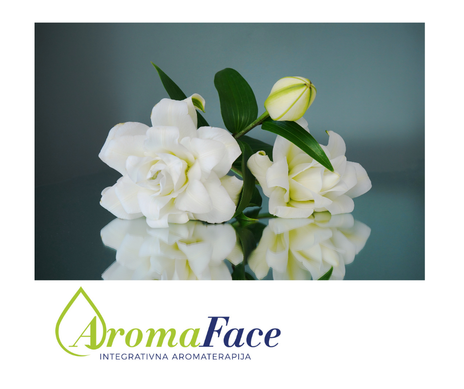 Read more about the article AROMAFACE TEHNIKA EMOCIONALNE REFLEKSOTERAPIJE LICA